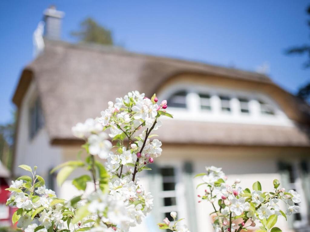 Holiday Home Reet-Seaside グロヴェ エクステリア 写真